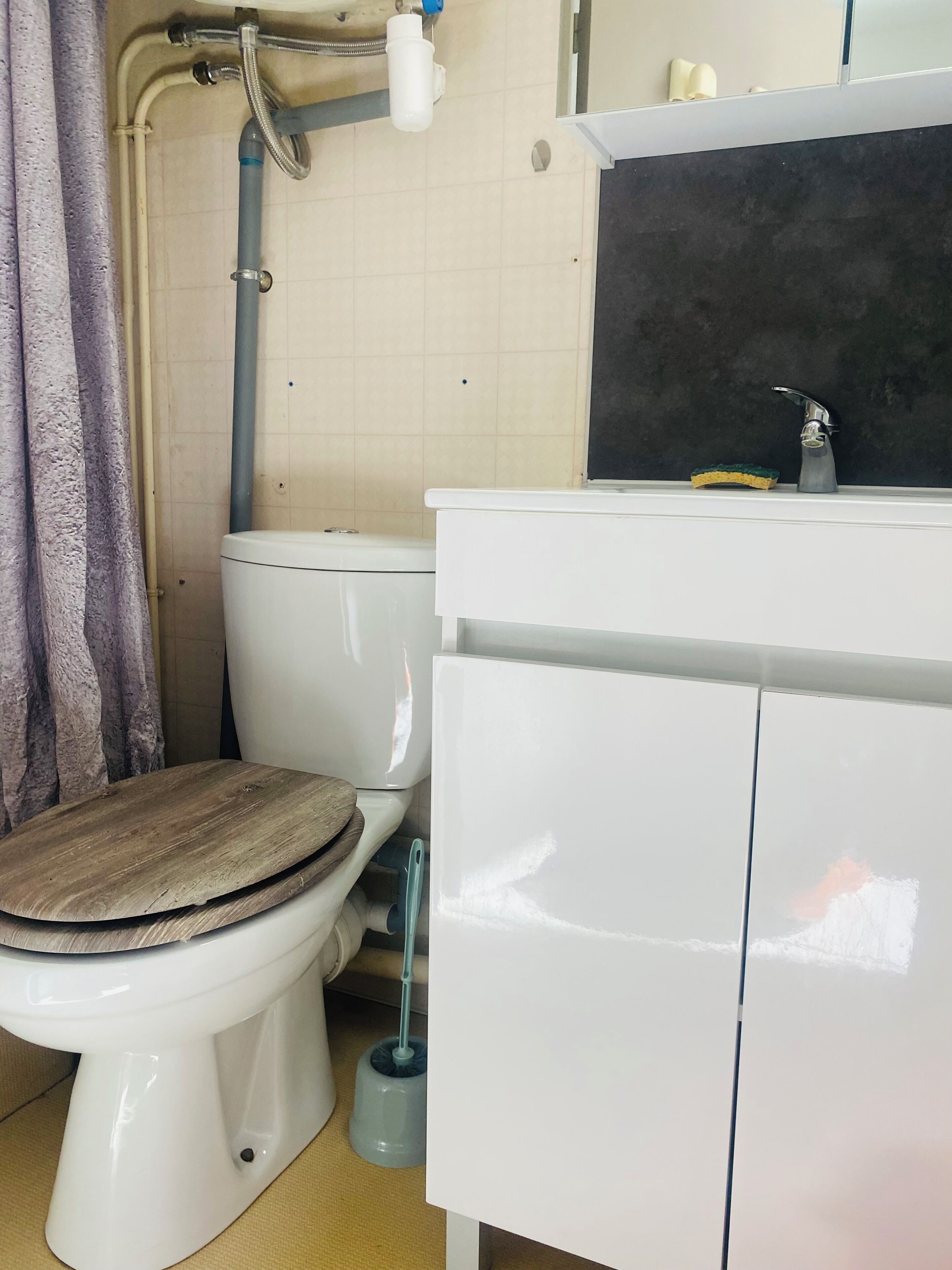 Un baño con inodoro, lavabo y zona de ducha.