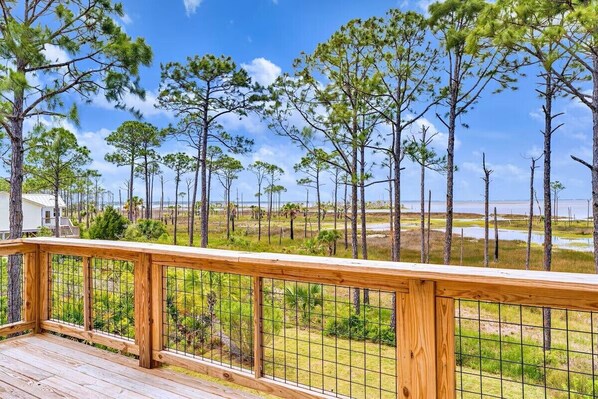 Property grounds - Cozy Bayside Cottage (Port Saint Joe)