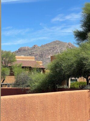 Property grounds - Foothills 2-bedroom condo in welcoming Tucson with AC and fitness room (Tucson)