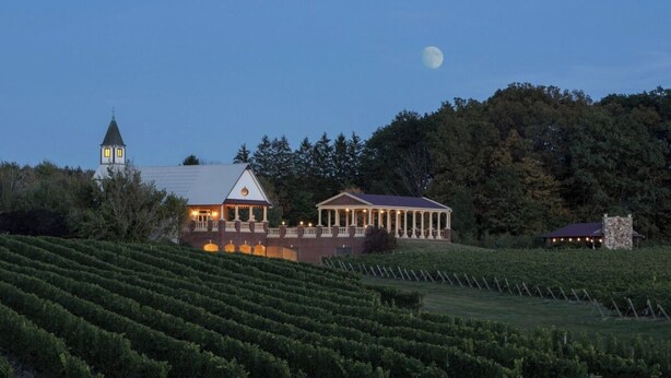 Un vignoble avec des rangées de vignes, un grand bâtiment doté d’un toit triangulaire et, au loin, un clocher.