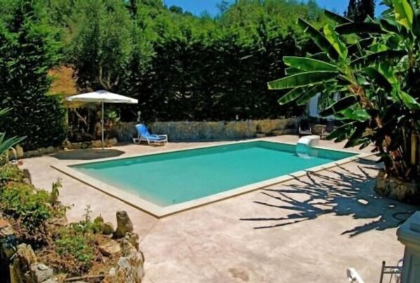 Una piscina rectangular con borde de baldosas, rodeada de abundante vegetación y un muro de piedra.