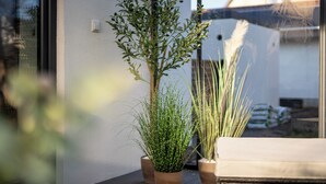 Una planta en maceta con follaje verde y flores blancas en un balcón con una pared blanca y una ventana.