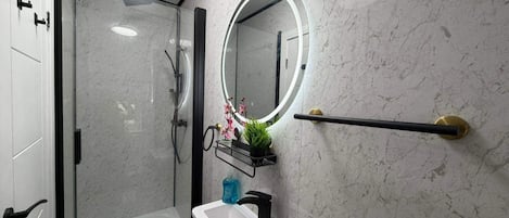 Shower, towels, toilet paper