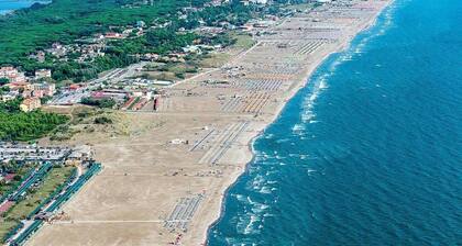 Gemütliche Wohnung im Herzen des Kiefernwaldes