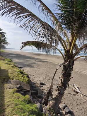 Am Strand, Liegestühle, Strandtücher