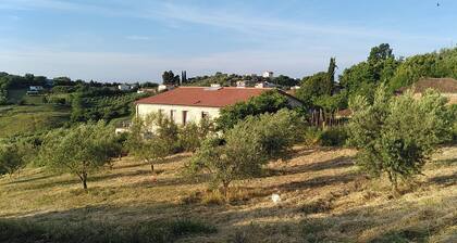 Bed@Breakfast, 2 double rooms, 1 apartment for 6-8 persons