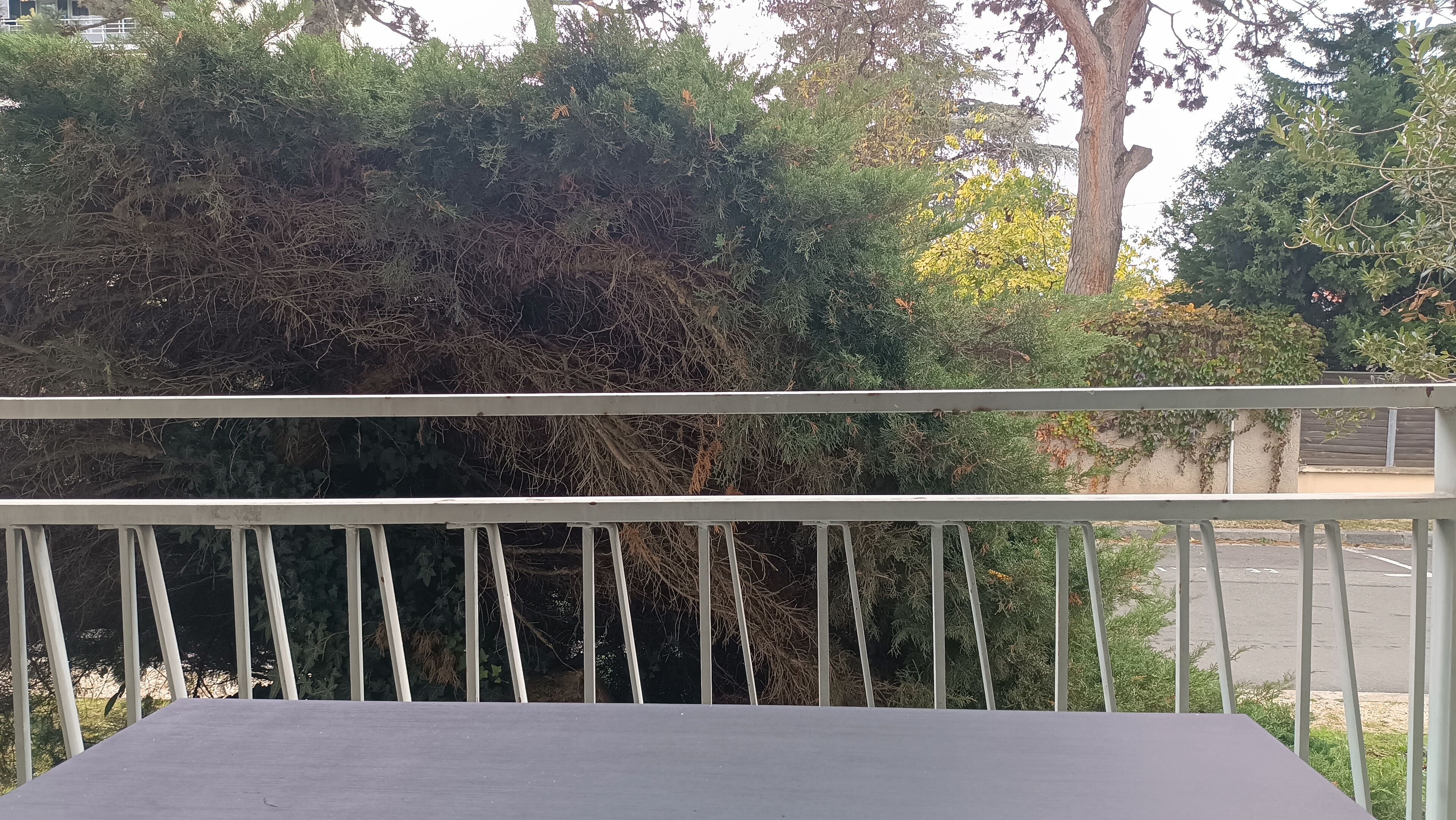 A balcony with a metal railing, overlooking a parking area and dense foliage.