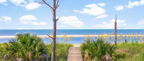 Nær stranden, hvit sand og fisking