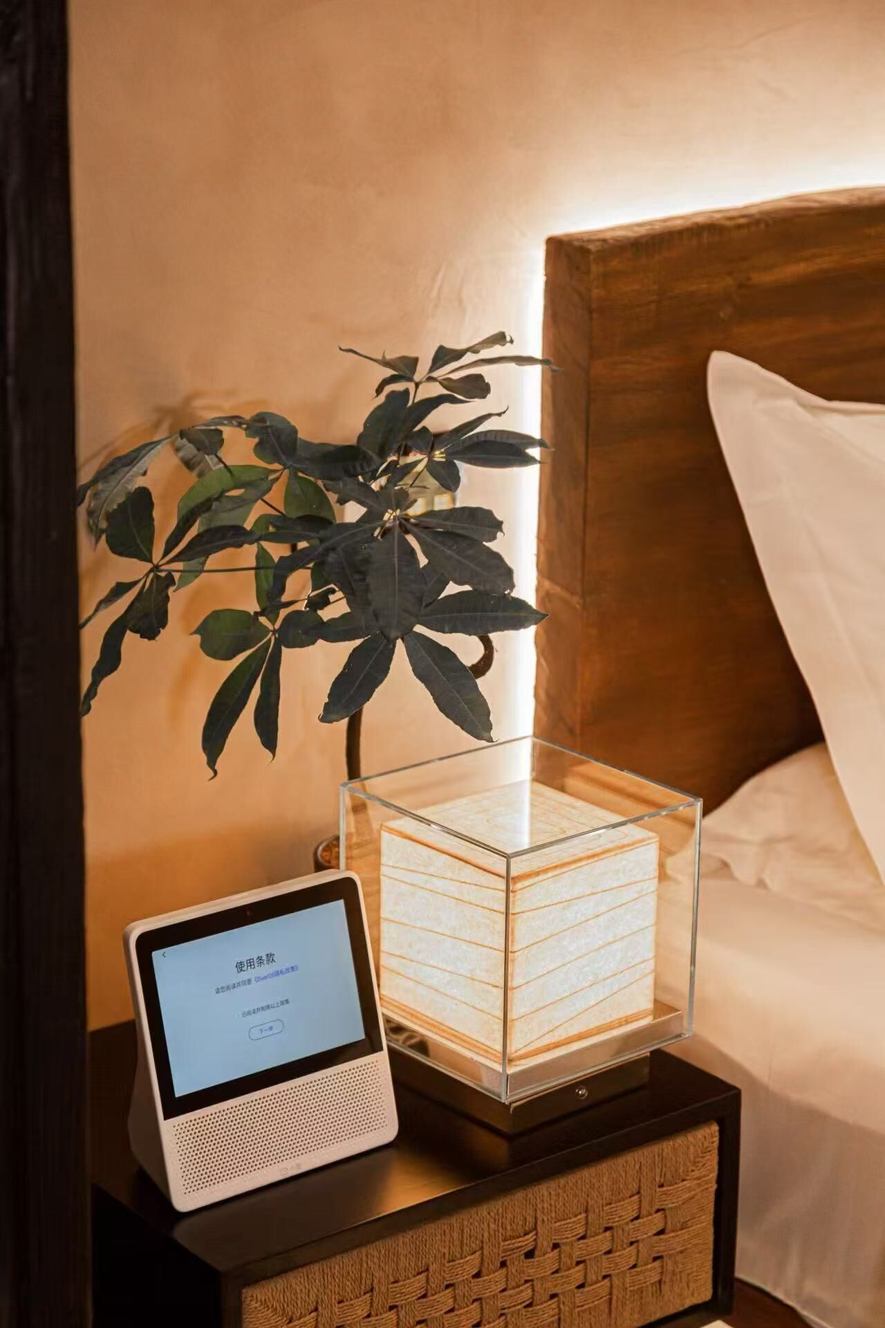 Ein Nachttisch mit einer Pflanze, einem Tablet und einer würfelförmigen Lampe.