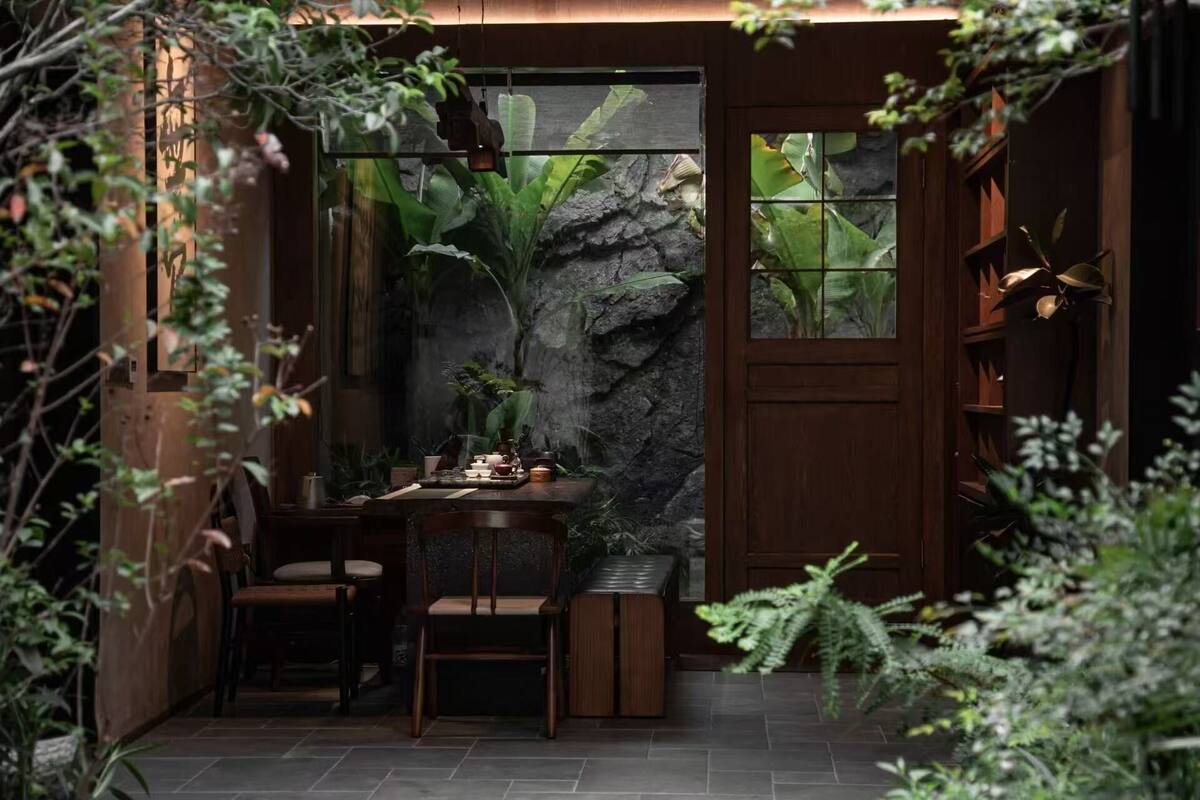 A cozy indoor setting with a wooden table, chairs, and a large potted plant.