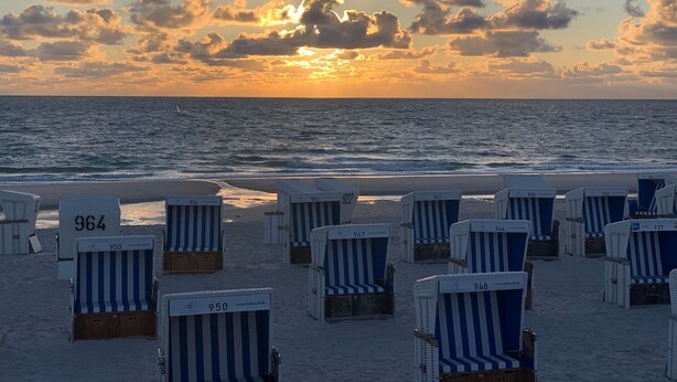 Beach chairs with numbers on a sandy beach, facing the ocean at sunset. - Stadtperle Gold in the heart of Westerland with roof terrace and close to the beach (Sylt)