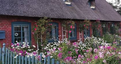 Cozy & homely vacation apartment - atrium in Angeln! - only 600 m to the sea