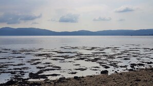 A coastal landscape with a rocky shoreline and distant mountains.