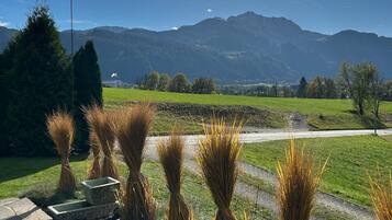 Ferienhaus | Blick von der Unterkunft