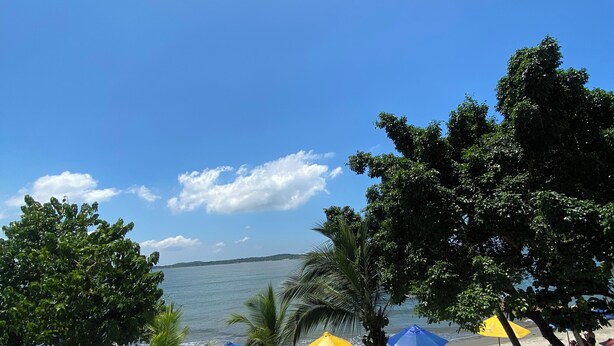 Une vue sur la plage, avec des palmiers, des parasols et des chaises longues.