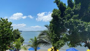 Une plage avec des palmiers, des parasols et des chaises rouges.
