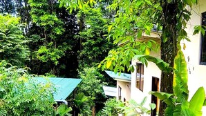 Un sendero que lleva a un edificio rodeado de abundante vegetación y plantas tropicales.
