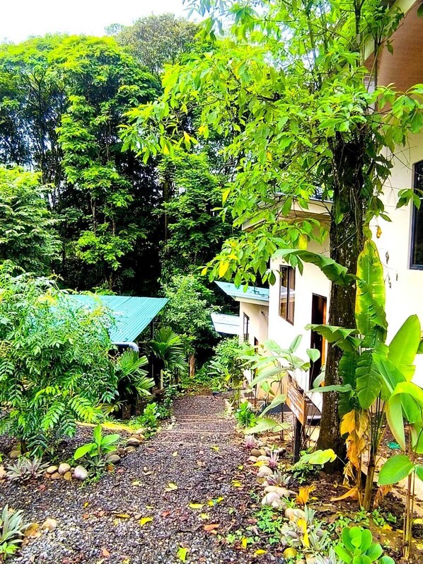 Property grounds - Monstera Forest Lodge #3 (Provincia de Alajuela)