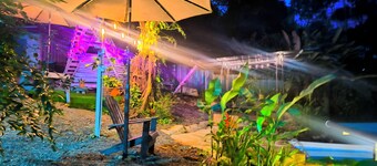 Monstera Forest Lodge #3