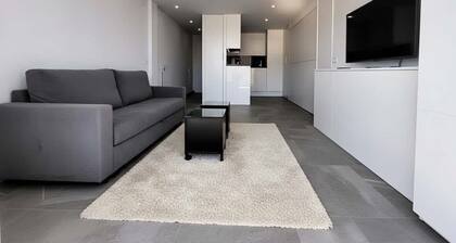 Modern Apartment, Sierra Nevada Center