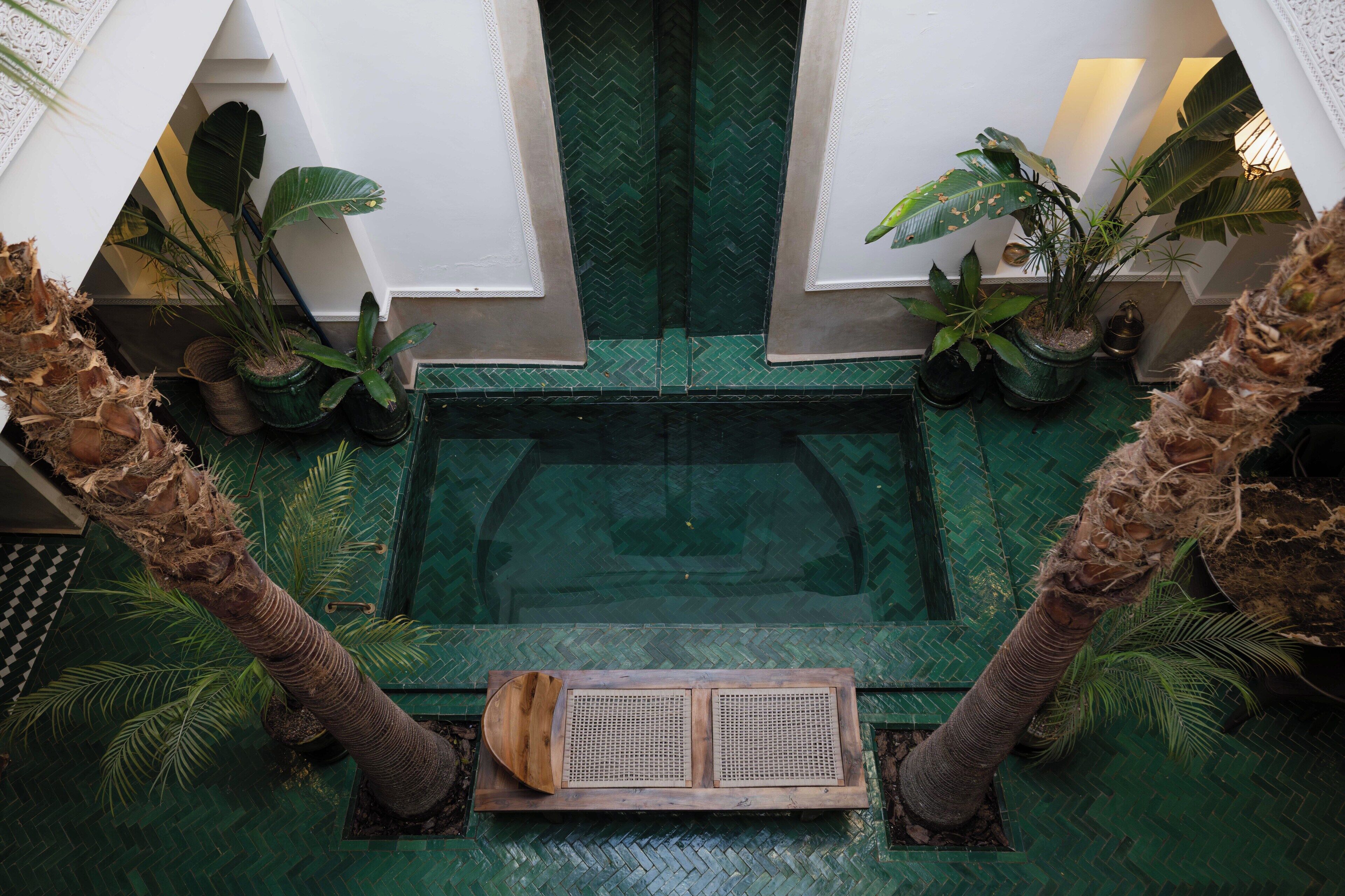 Zona de piscina con un banco de madera, rodeada de plantas en macetas y palmeras.