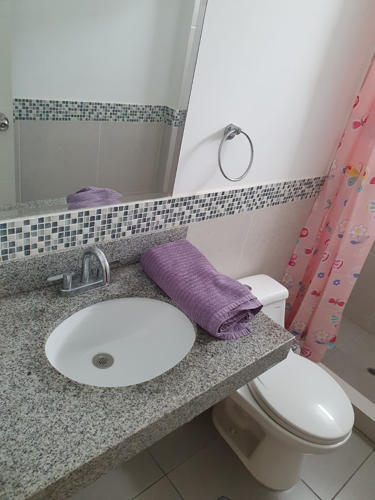 Hair dryer, towels, toilet paper