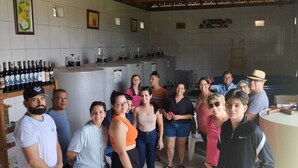 Un groupe de personnes se trouve dans une pièce où l’on peut voir de gros équipements industriels, des bouteilles de vin rangées sur des étagères et une enseigne sur laquelle on peut lire « SAUDA ».