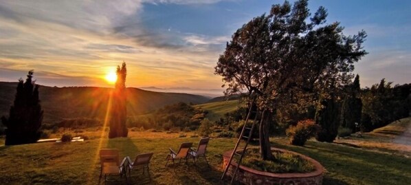 A sunset view with a tree and lounge chairs in a grassy area. - agriturismo e maneggio Poggio Leone (Gambassi Terme)