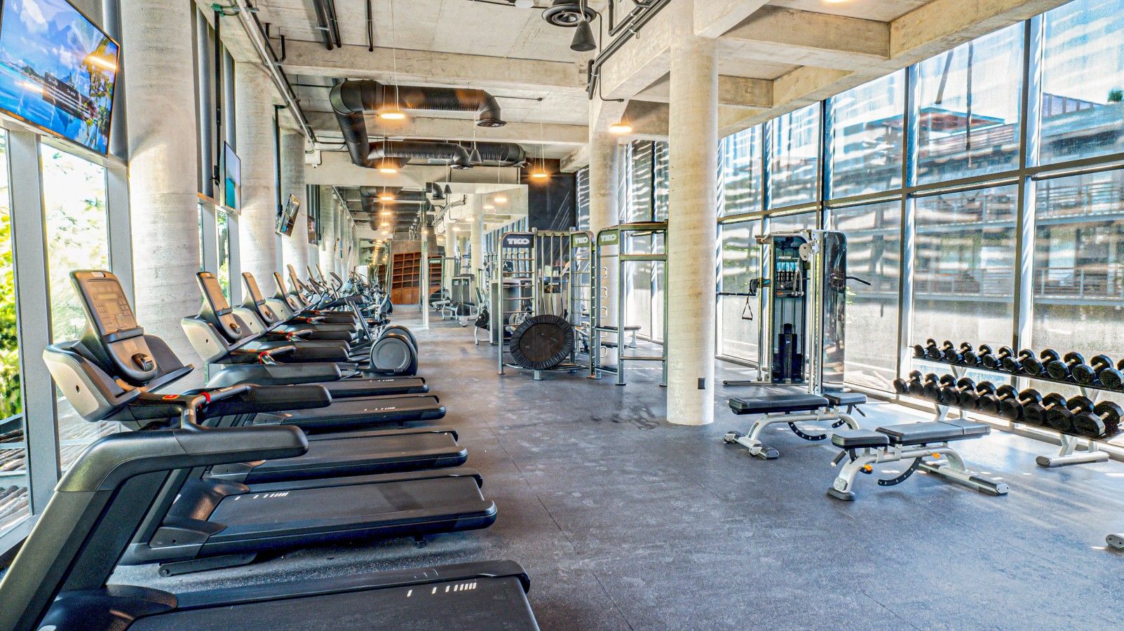 A gym with treadmills, dumbbells, and exercise equipment.