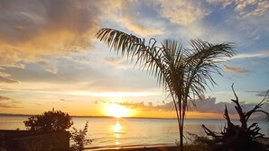 A sunset over a beach with a palm tree and some vegetation. - Cabañas Dilany (Moyagalpa)