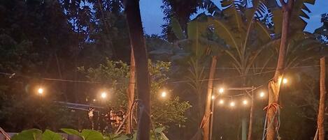 A hammock suspended between trees in a garden area with string lights.