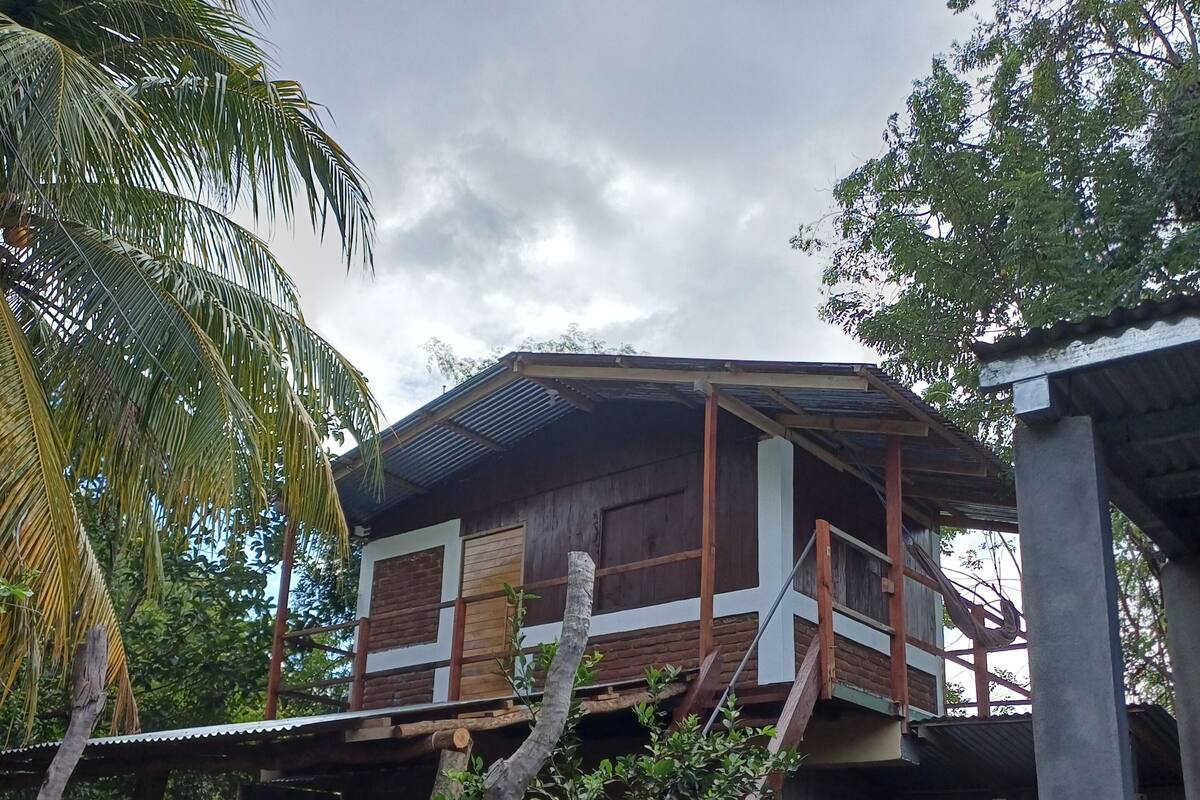 Una casa in legno con un balcone, circondata da piante verdi rigogliose e una palma.