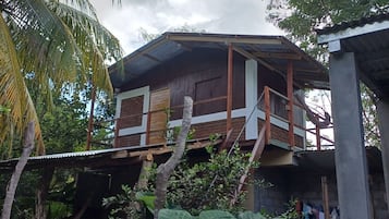 Una casa de madera con balcón, rodeada de grandes plantas verdes y una palmera.