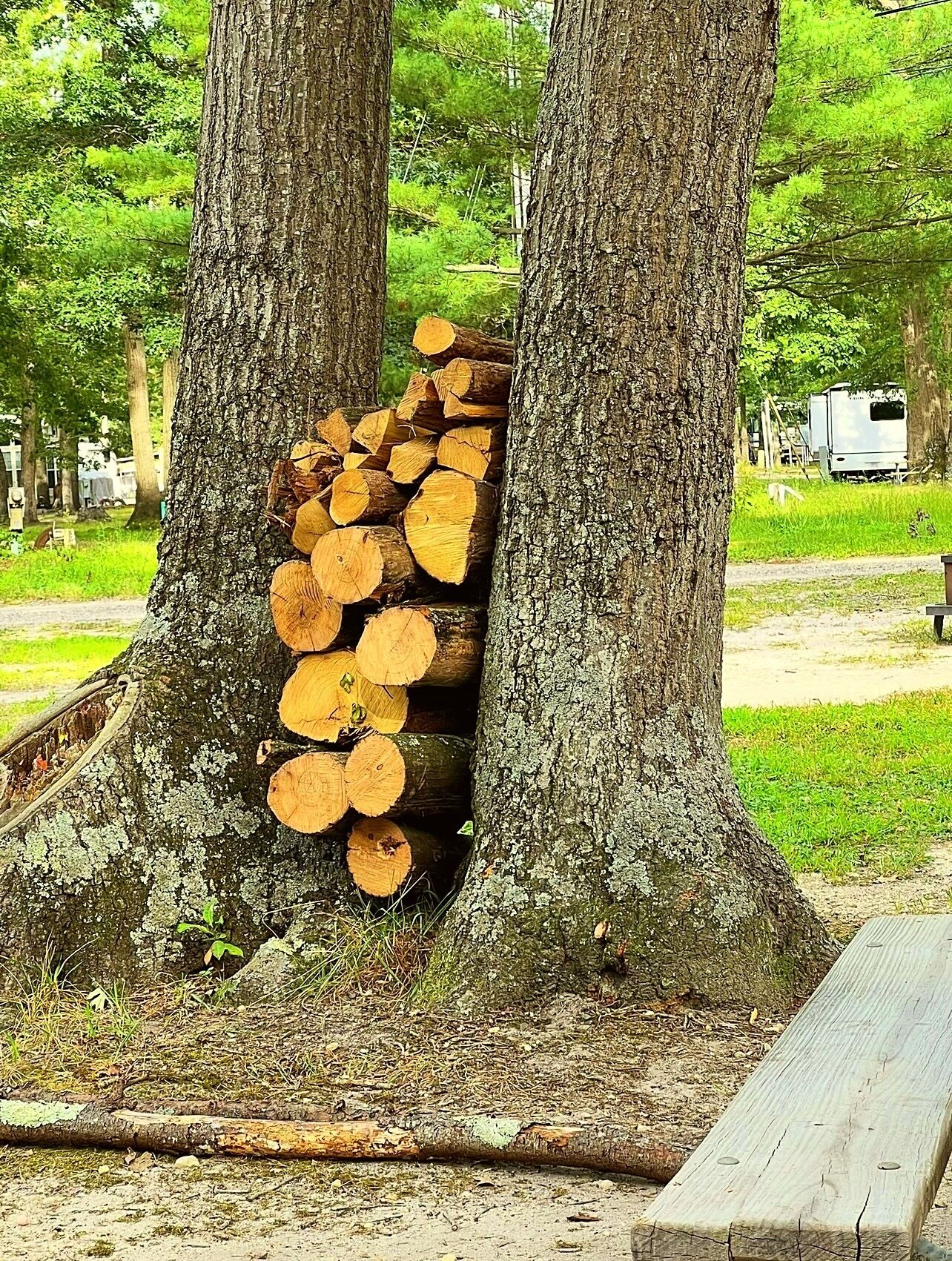 Overnatningsstedets område