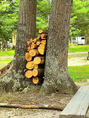 Property grounds - Relax, Unwind, and Enjoy Your Stay at Our All-Season RV Escape (Buena)