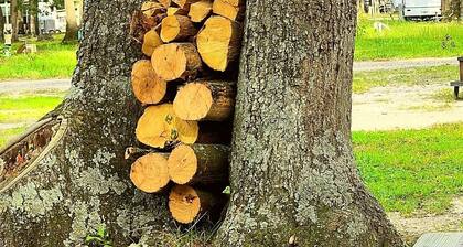 Relax, Unwind, and Enjoy Your Stay at Our All-Season RV Escape