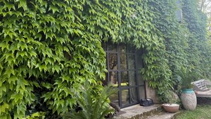 A building with a green ivy-covered exterior, a stone pathway leading to a door, and a large window. - CHARMING MAS IN THE HEART OF THE VILLAGE OF COLLIAS AT THE GATEWAY TO UZES (Collias)