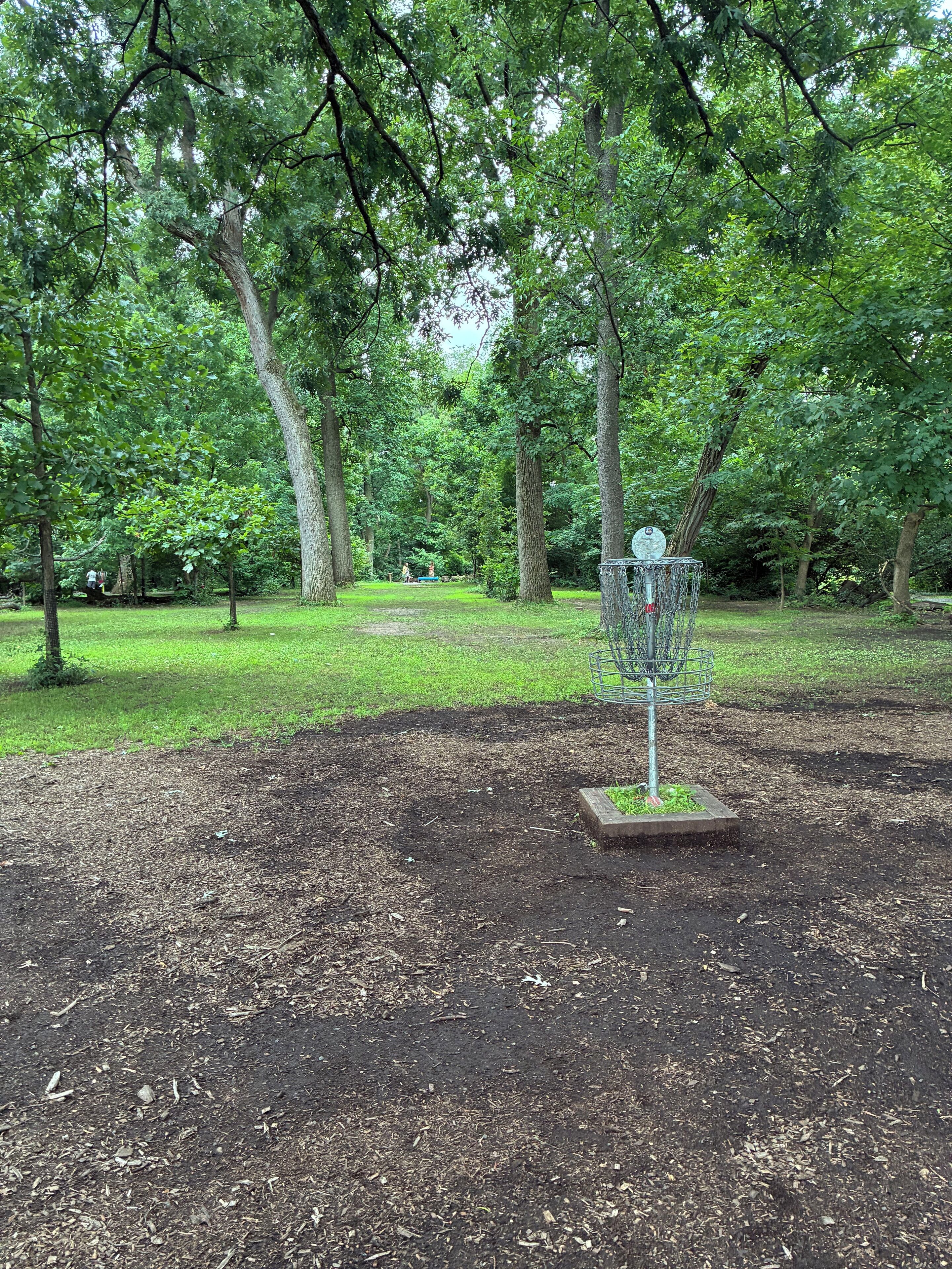A park with a disc golf basket, surrounded by trees and grassy areas.