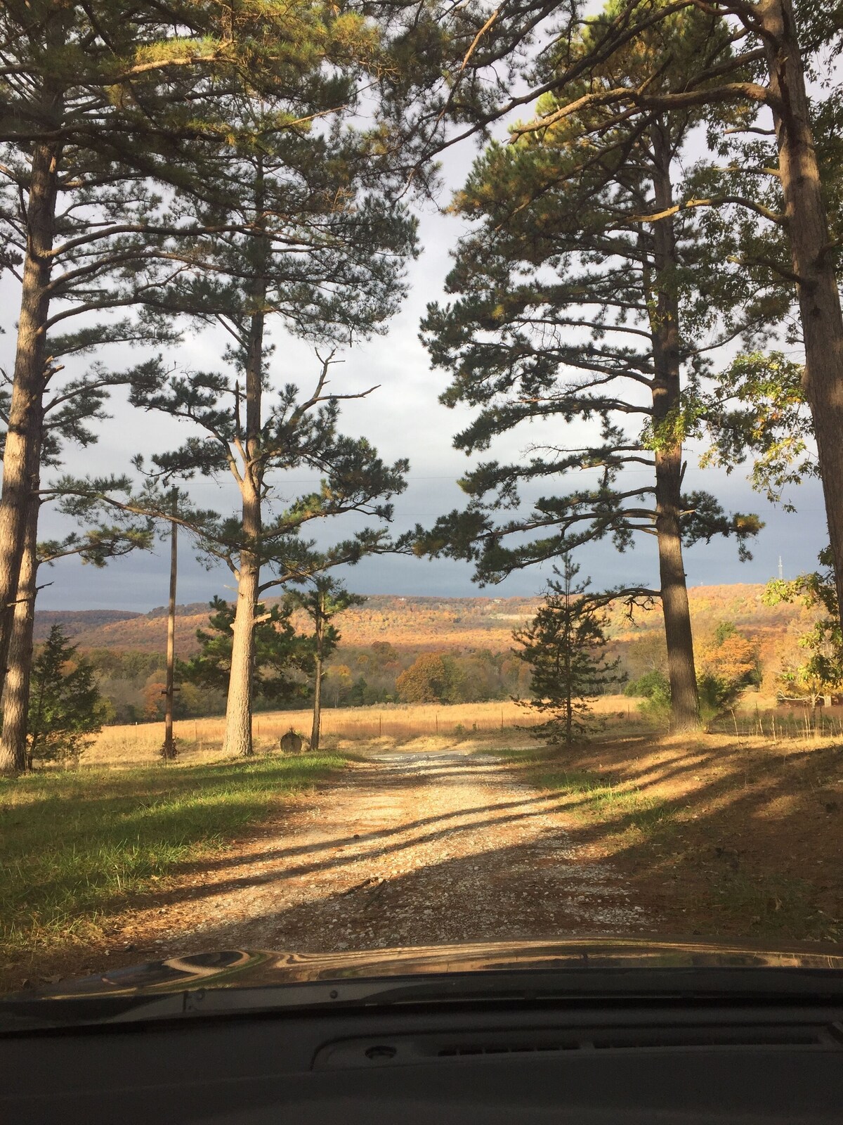 Imagen de perfil del propietario o de la propietaria