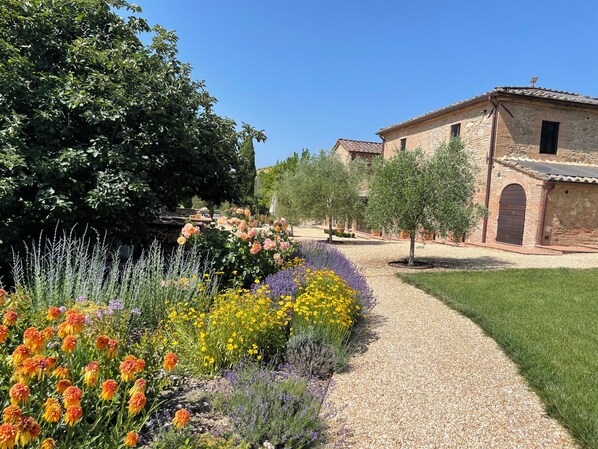 Exterior - Agriturismo La Frattina (Buonconvento)