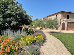 Exterior - Agriturismo La Frattina (Buonconvento)