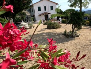 Property grounds - Cottage in the green between S. Gimignano and Volterra perfect for children and dogs (Gambassi Terme)
