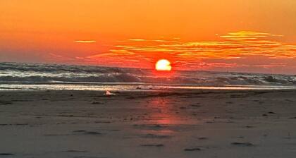 Peaceful 1-bedroom apartment with AC near beautiful Madeira Beach