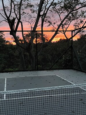 Sports court - Pickleball Jungle Parrot (Garza)