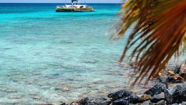 A clear turquoise sea with a boat named "Palo Alto" anchored in the distance. - NEW 2BR 2BA Caribbean Hideaway at Palma Real Aruba (Noord)