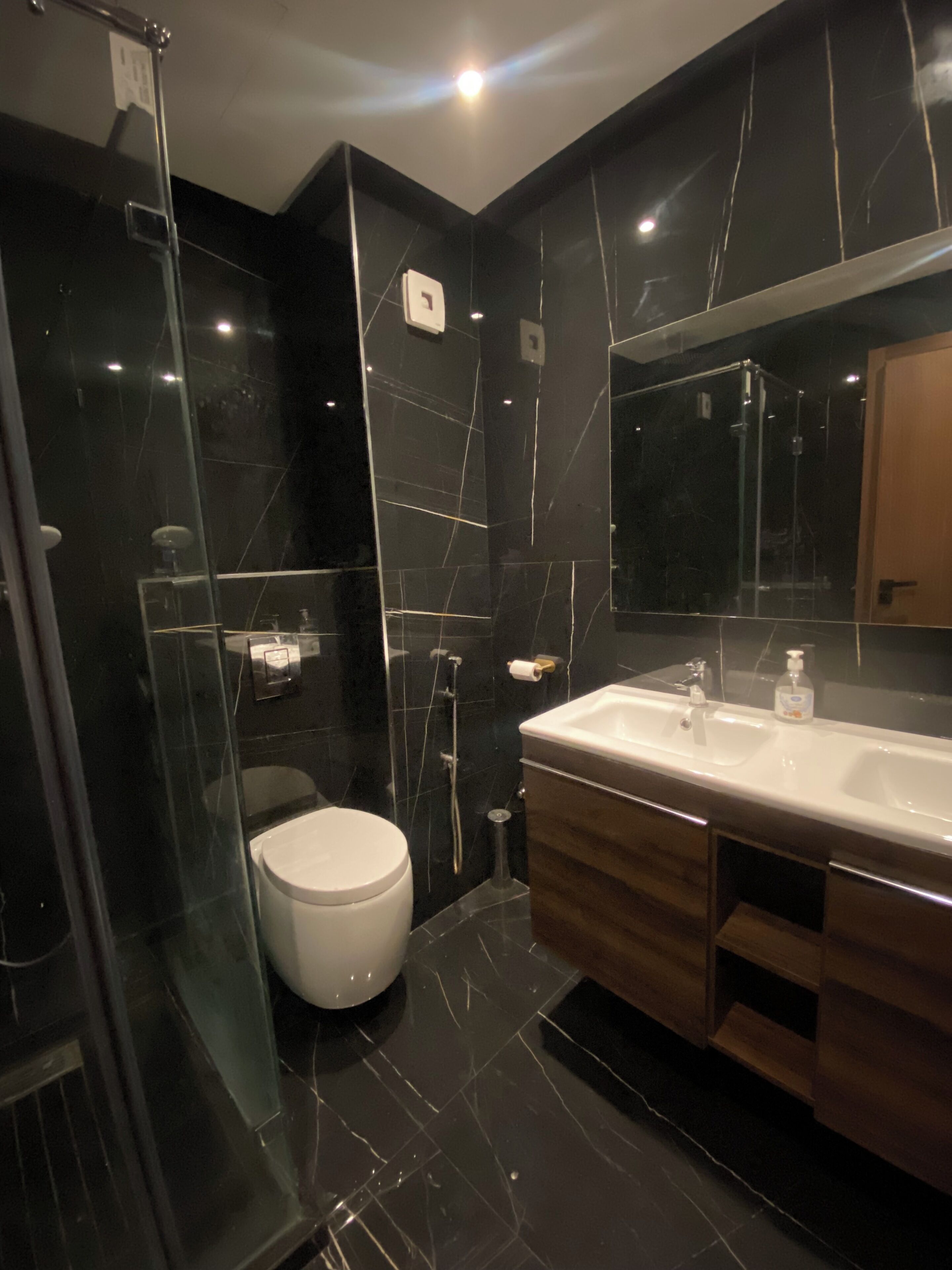 Shower, hair dryer, bidet, towels