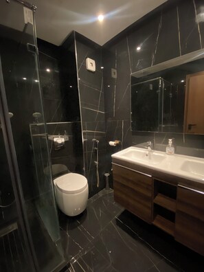 Shower, hair dryer, bidet, towels