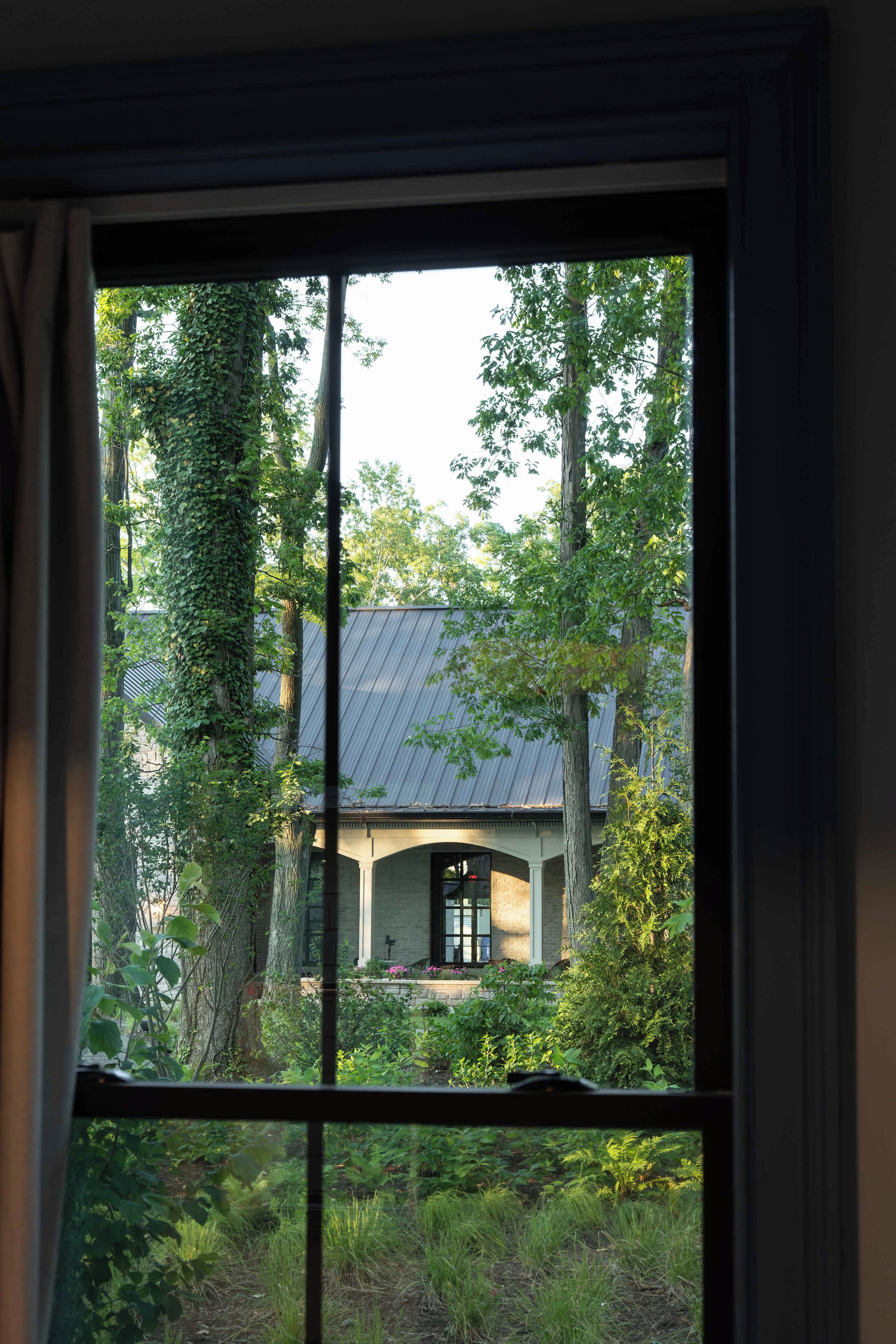 A view through a window of a house surrounded by trees and greenery.
