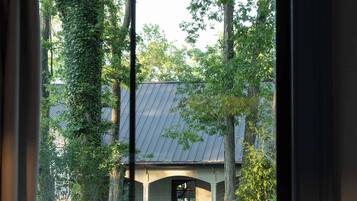 A view through a window of a house surrounded by trees and greenery.
