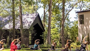 A group of people performing yoga on mats in a grassy outdoor area with trees and a building in the background.